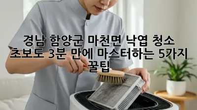 경남 함양군 마천면 낙엽 청소: 초보도 3분 만에 마스터하는 5가지 꿀팁!