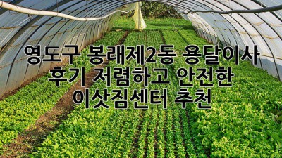 영도구 봉래제2동 용달이사 후기: 저렴하고 안전한 이삿짐센터 추천