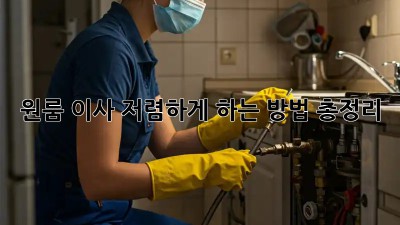 원룸 이사, 저렴하게 하는 방법 총정리!
